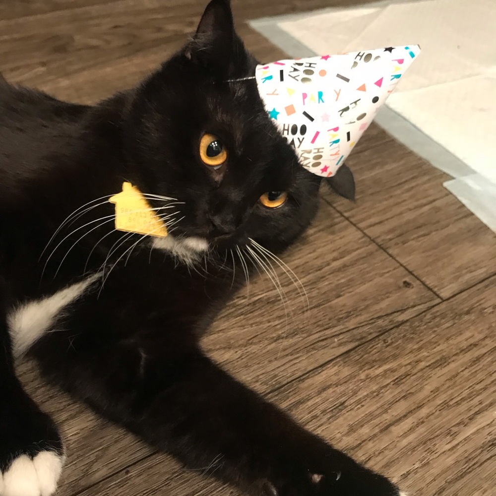 Meet your Posher, Jocelyn